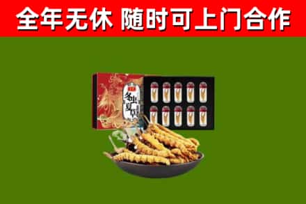 晋州烟酒回收冬虫夏草礼盒.jpg